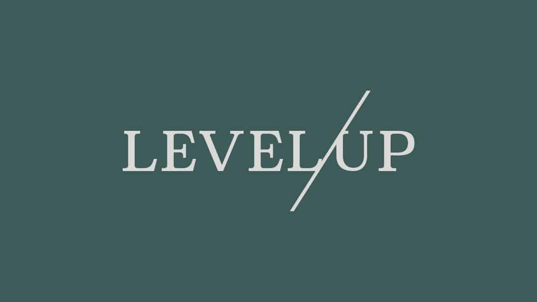 Level Up Dispensary Brand Identity High Road Design Studio